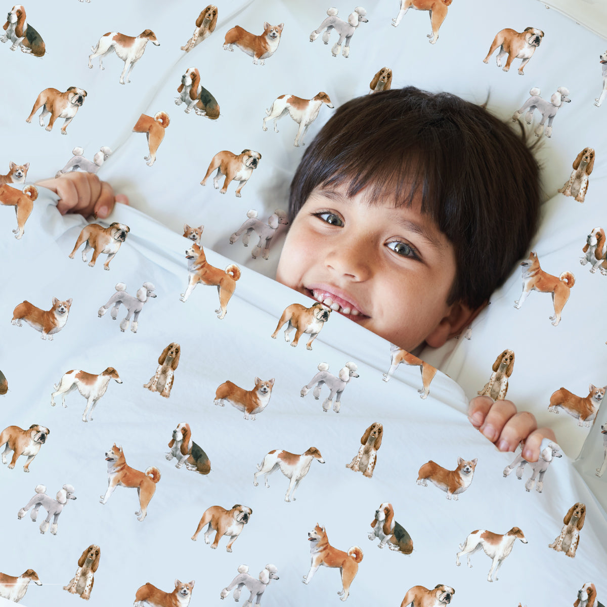 Sensory Compression Sheets