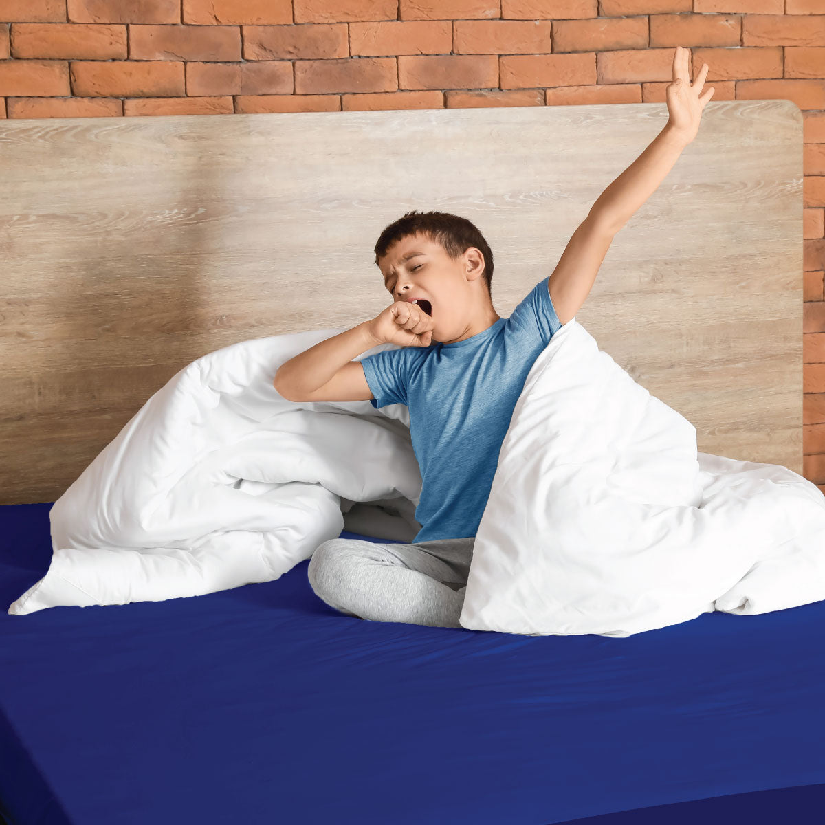 Royal - Sensory Fitted Bed Sheet
